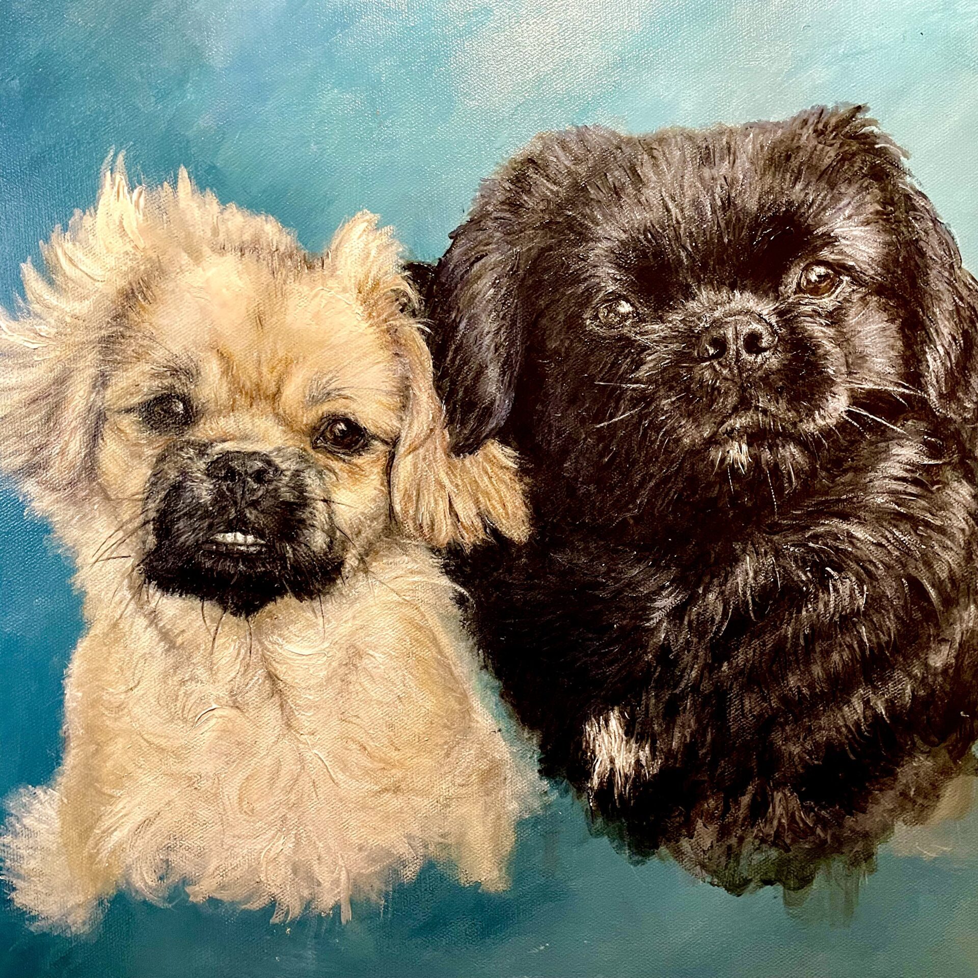 Franklin and Rutherford - 12"x16' classical background