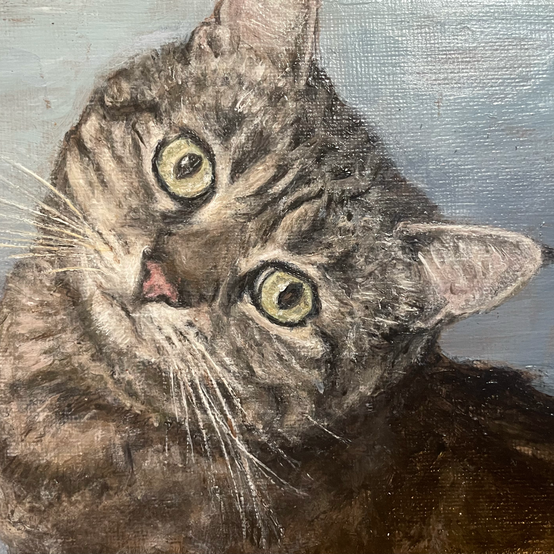 Kitty - 5"x7"